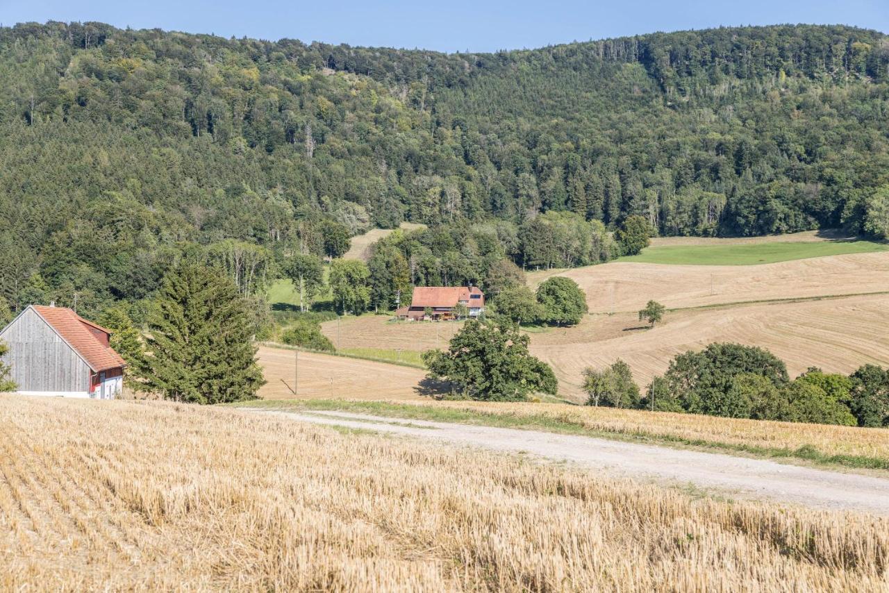 Der Lachenbuckhof Блумберг Экстерьер фото